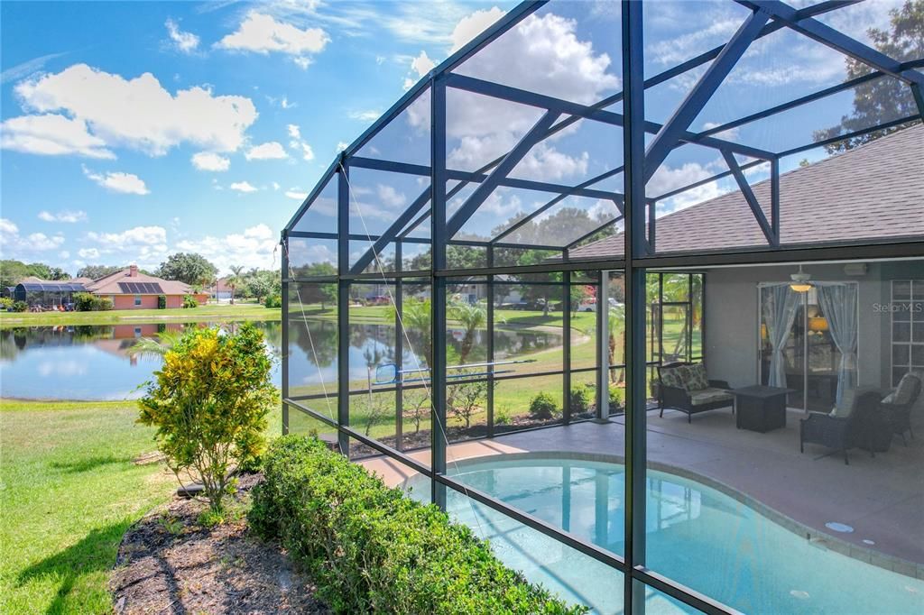 View from Outdoor Pool Area