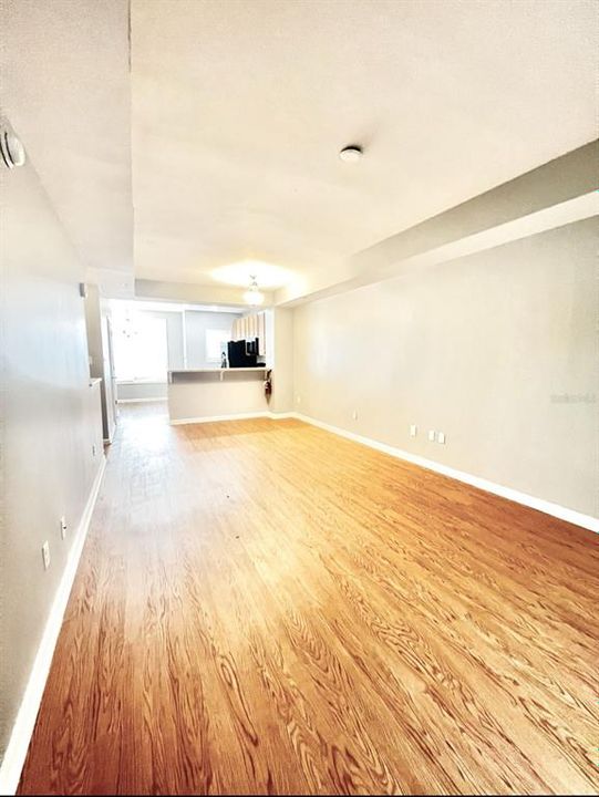 Living room/ Dinning/ Kitchen Open Plan