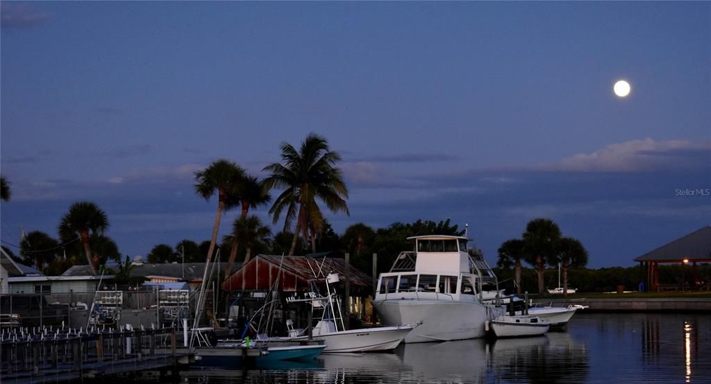 Full Moon at Englewood Harbor