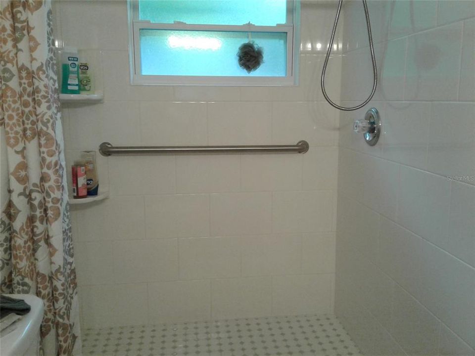 Low entry shower in Master Bath is new