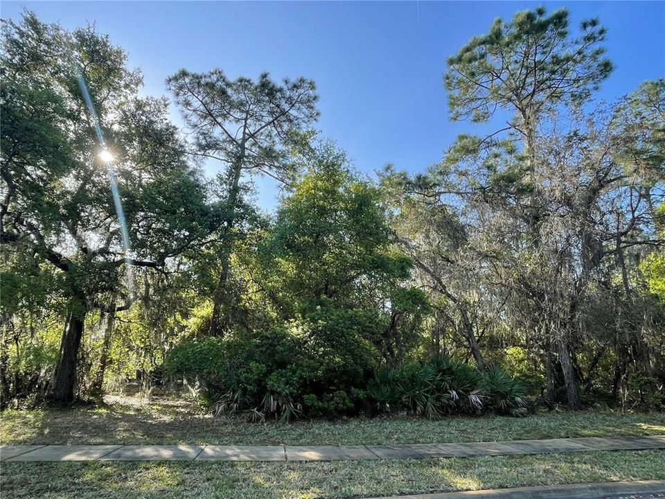 En Venta: $439,900 (1.03 acres)