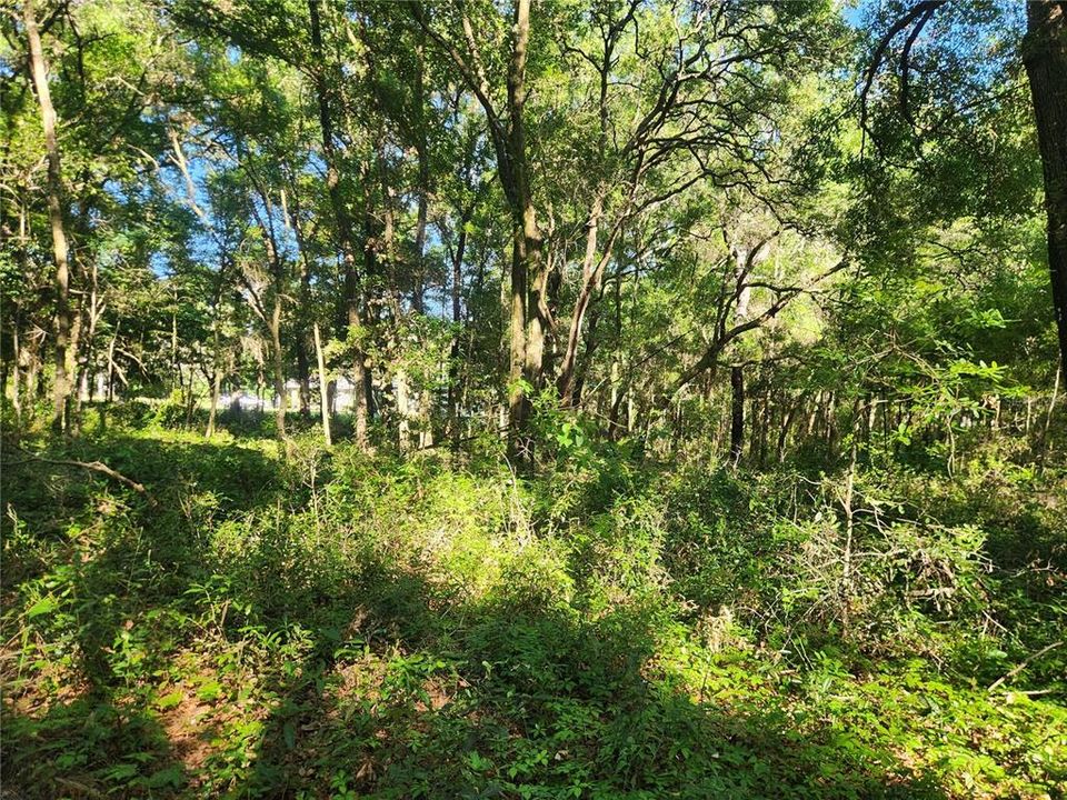 Active With Contract: $75,000 (1.84 acres)