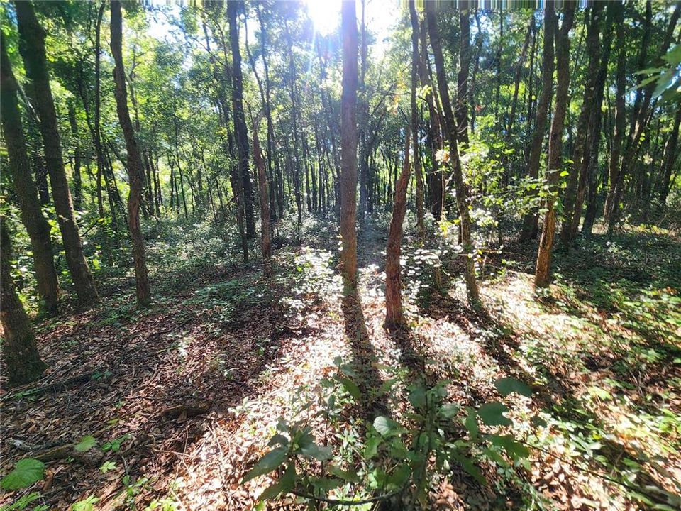 合同活跃: $75,000 (1.84 acres)