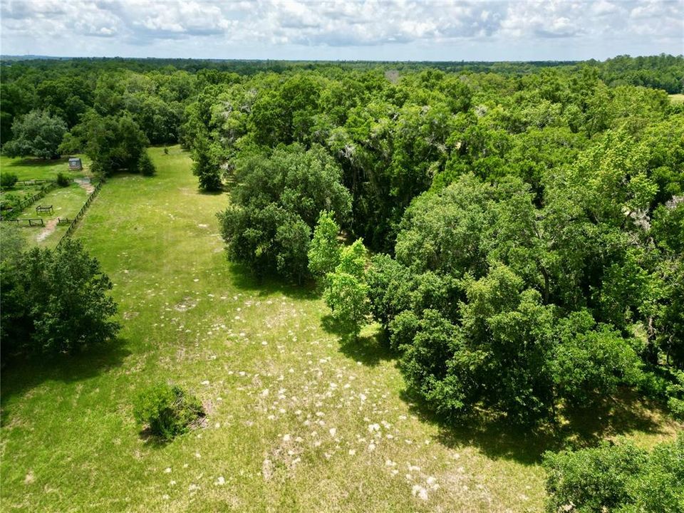 For Sale: $219,500 (3.00 acres)