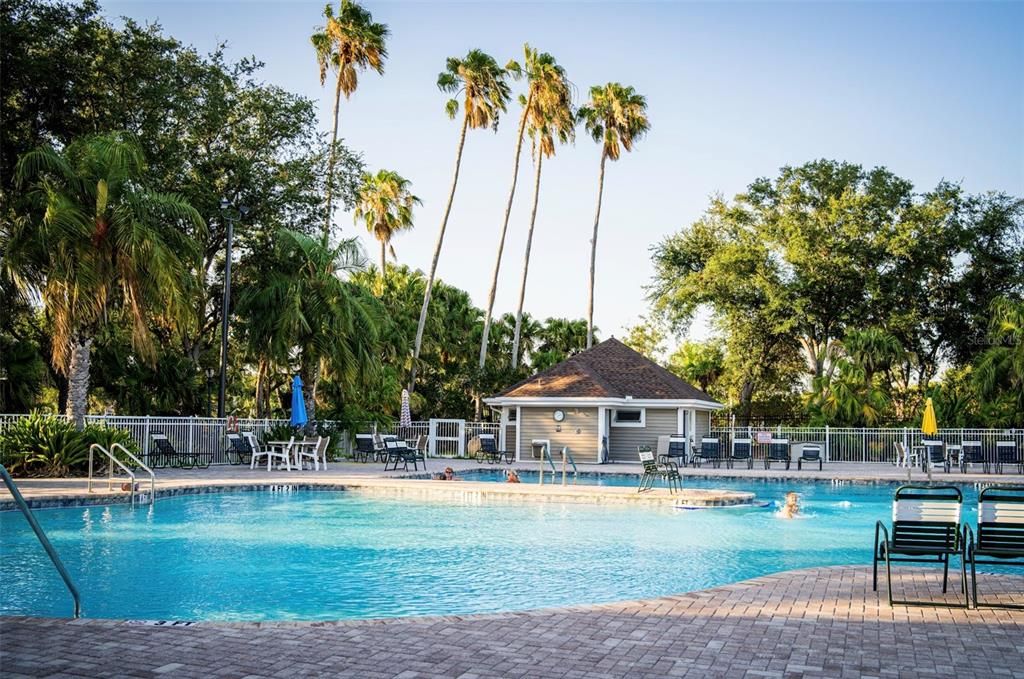 Community Swimming Pool