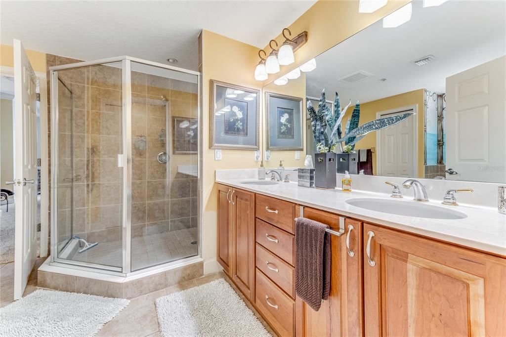 Primary Bathroom Shower and Double Sinks