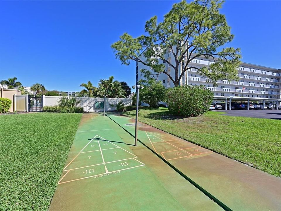 Ironwood Rec 1 Shuffle board court.