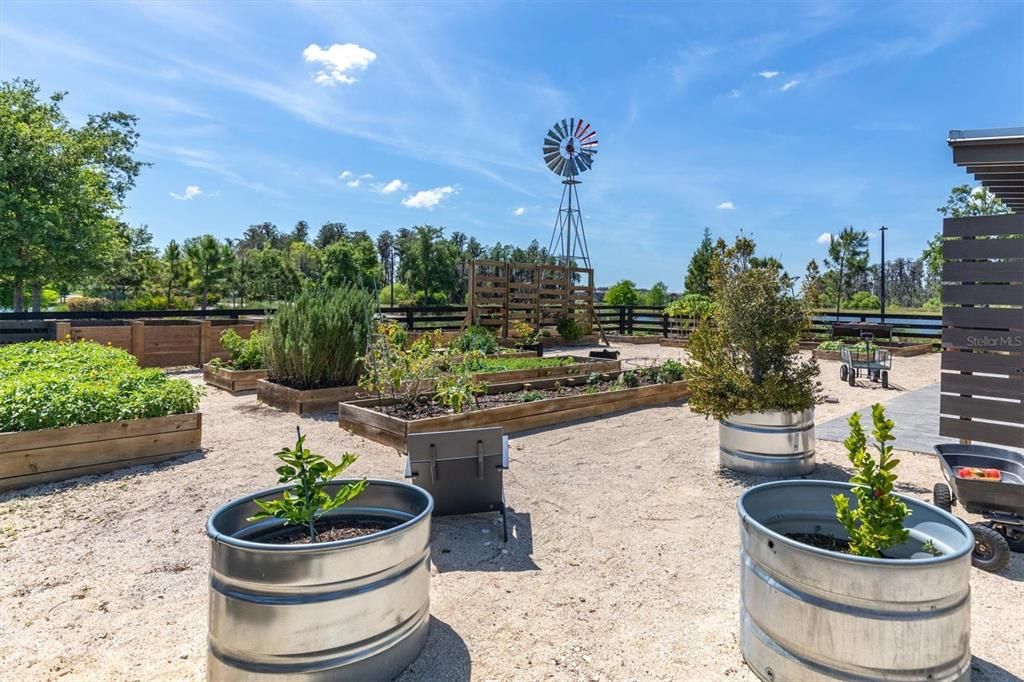 Community Garden