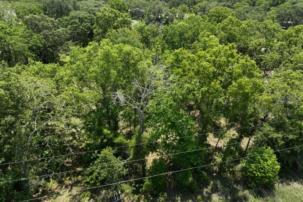 Activo con contrato: $85,000 (2.61 acres)