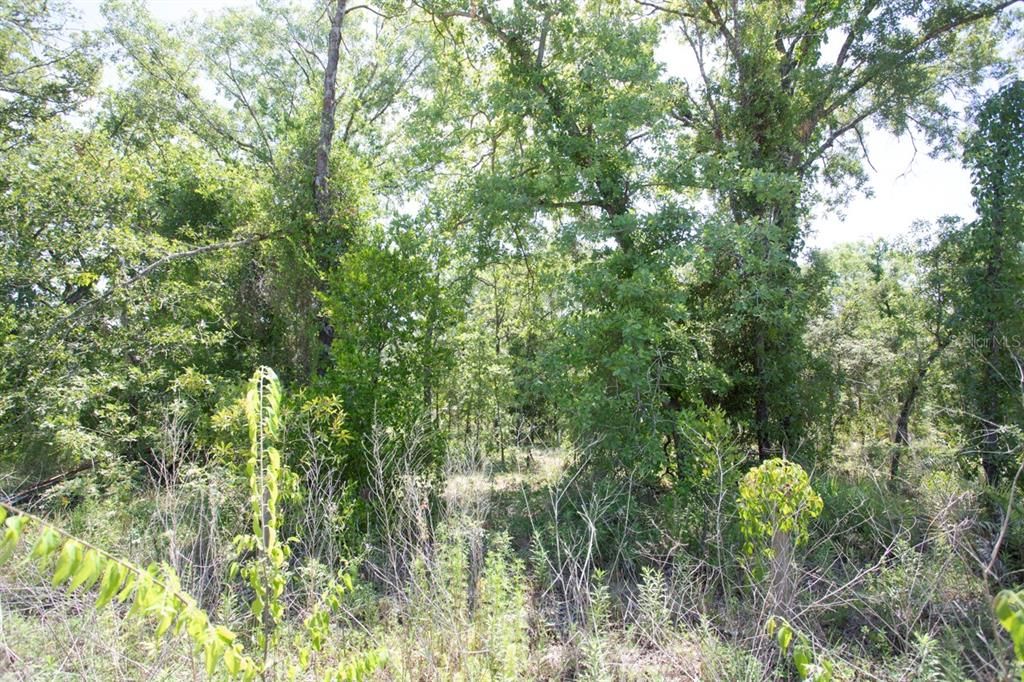 Activo con contrato: $85,000 (2.61 acres)