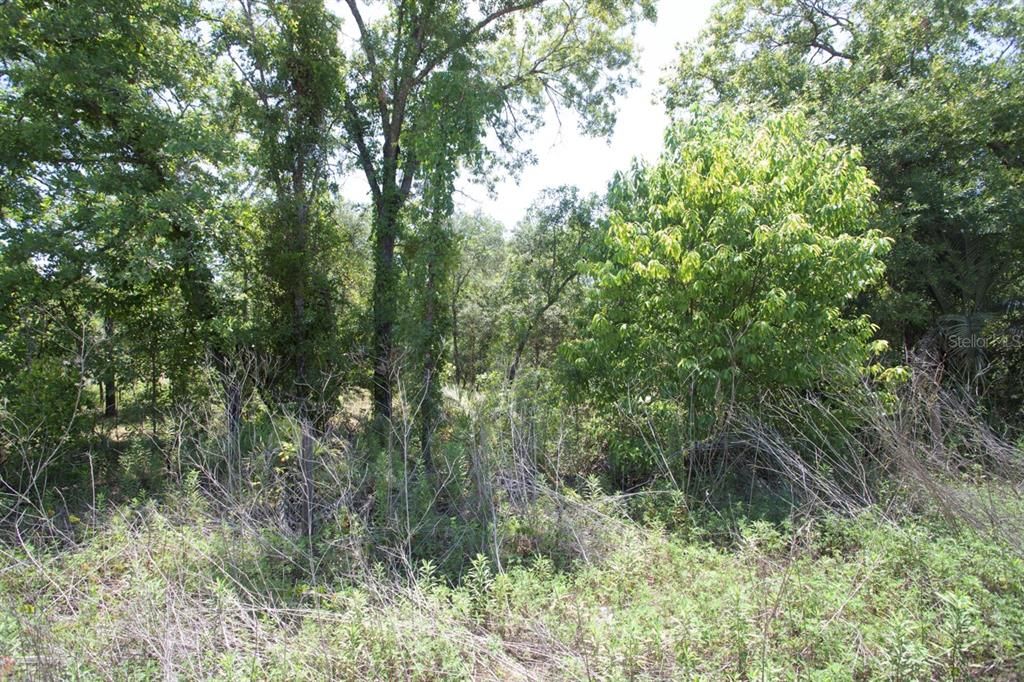 Activo con contrato: $85,000 (2.61 acres)