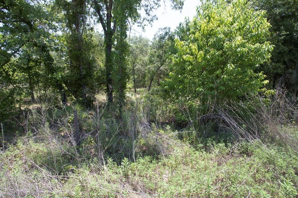 Activo con contrato: $85,000 (2.61 acres)