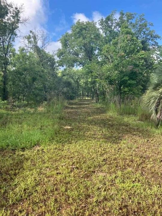 Active With Contract: $85,000 (2.61 acres)