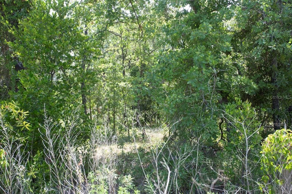 Под контрактом: $85,000 (2.61 acres)