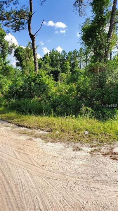 En Venta: $10,500 (0.25 acres)