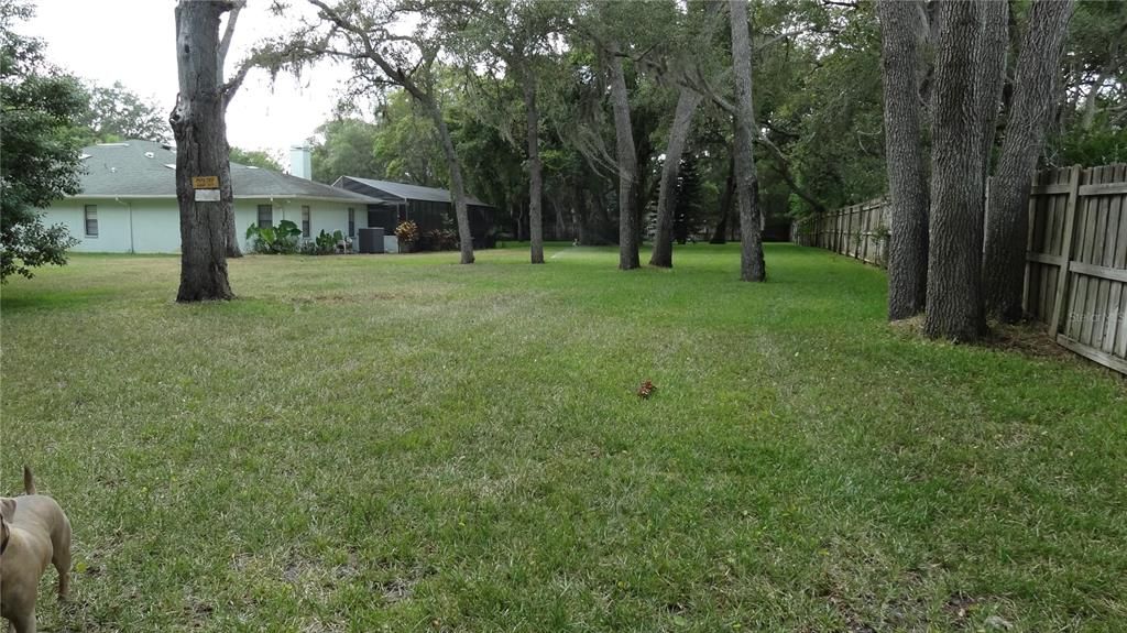 Back yard, fenced, huge