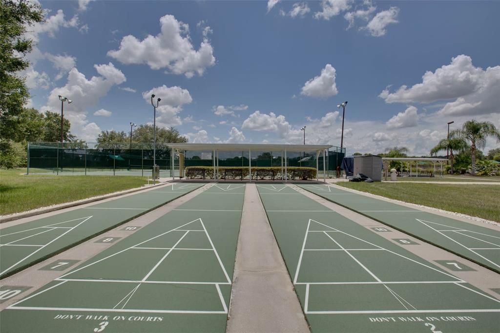 Shuffleboard