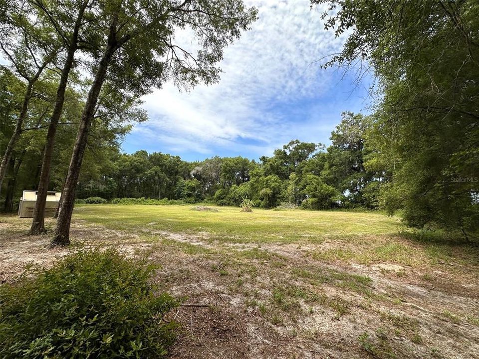 Another cleared pasture the west of the house