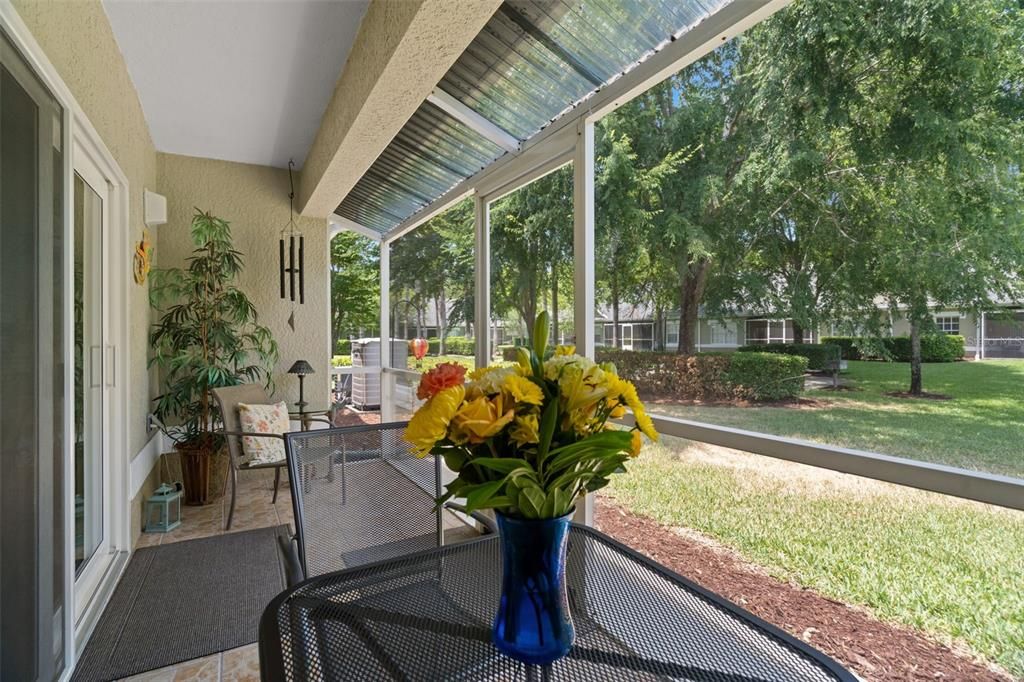 Screened Patio