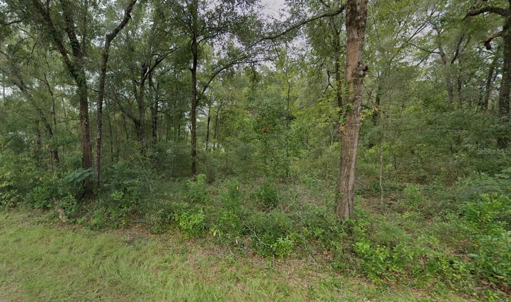 Active With Contract: $11,750 (0.23 acres)