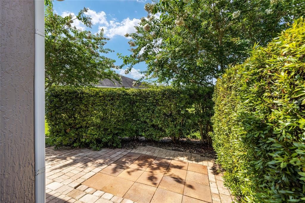 Rear Patio - with Privacy Hedges