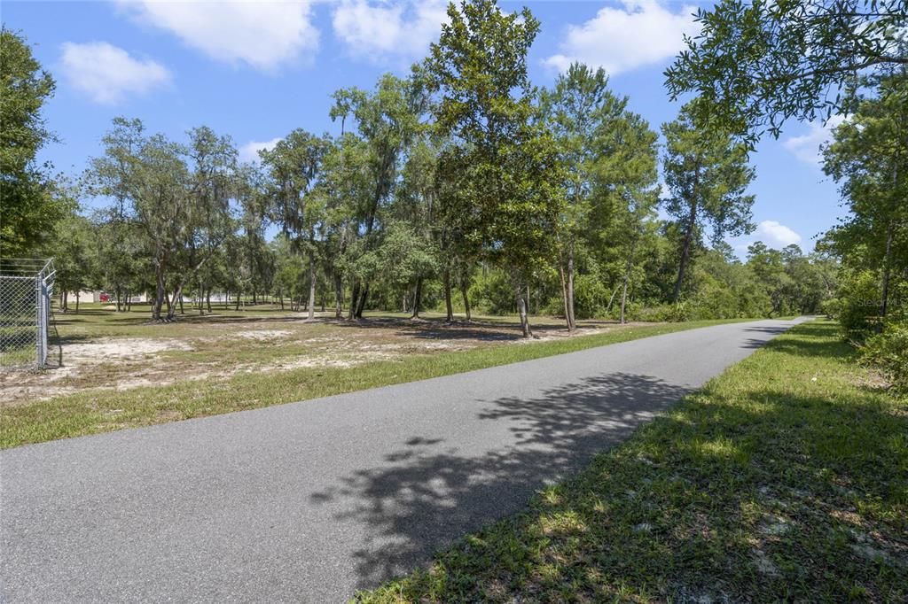 Paved walking trail to the springs