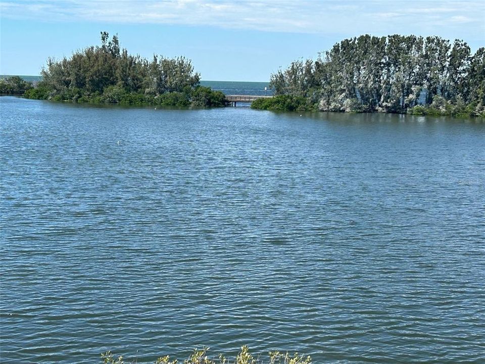 Directly across from the condo in the lagoon is the pedestrian bride located on the Nature Trail.  Take a walk and enjoy all the sights in the lagoon - dolphin, manatee, manna ray, Pelicans, Osprey, gulls of all kinds and, if your lucky, a Bald Eagle!  Life is so rich at Gulf Island.