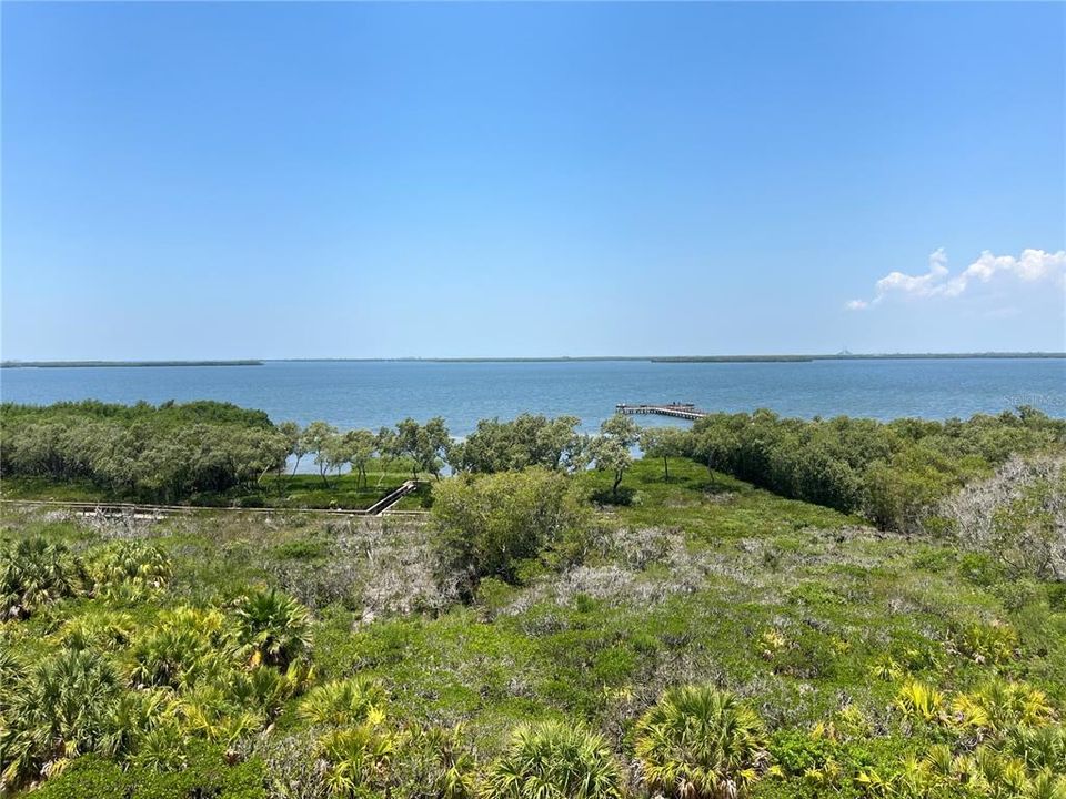 View west of Terra Ceia Bay