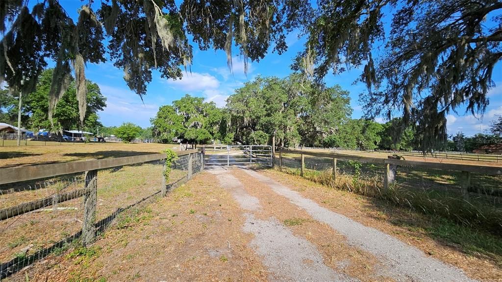 Gated Entry with driveway that winds between the trees