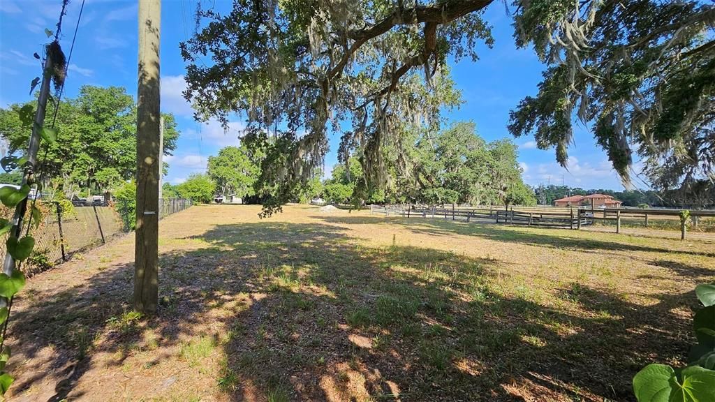 South front pasture in front of 12 stall bbarn