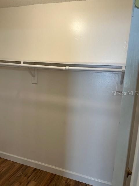 Walk in Closet in Master