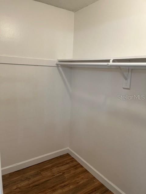 Walk in Closet in Master