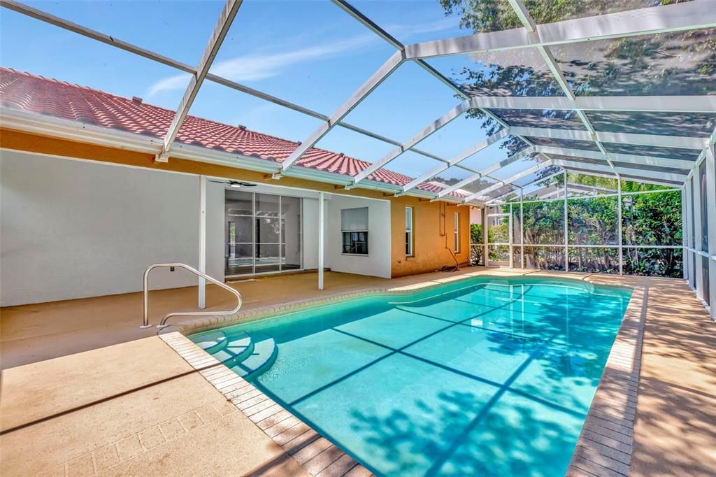 Covered back patio & pool