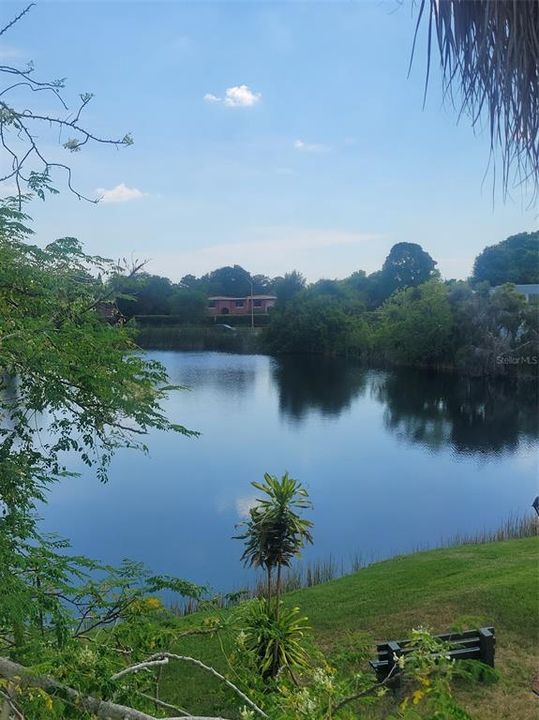 Bedroom view of the Lake