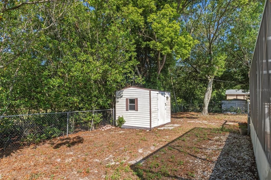 View of the shed and back yard