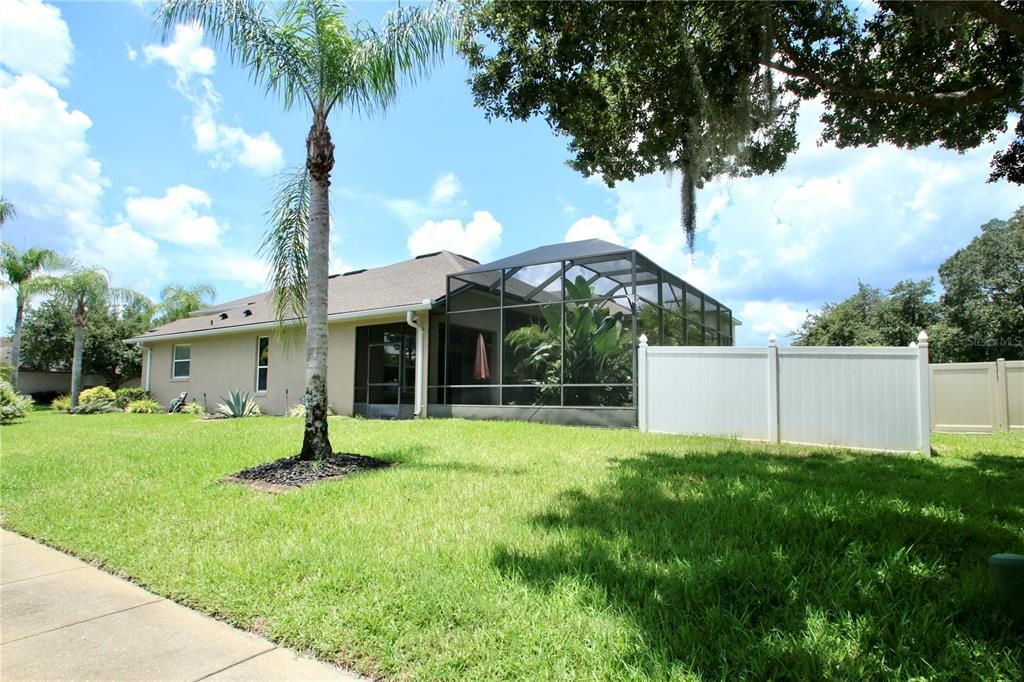 Fenced Back Yard