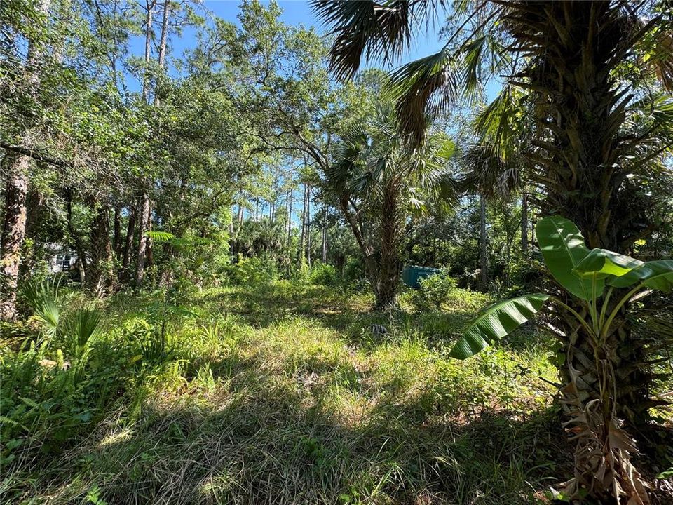 Vendido Recientemente: $59,900 (1.00 acres)