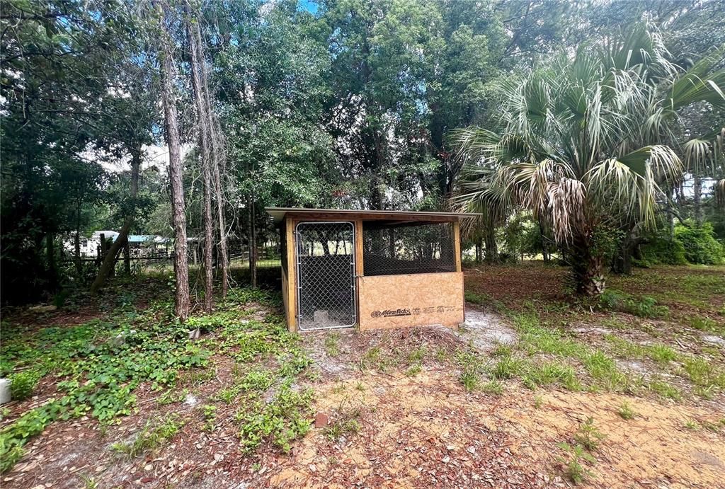 Brand new chicken coop is just waiting for its new residents!