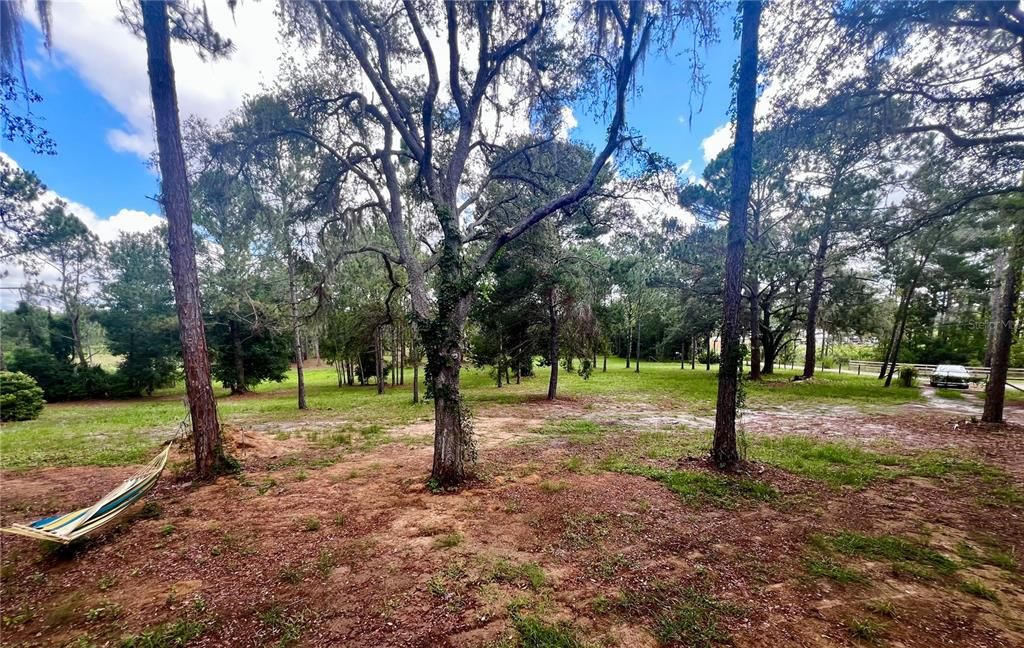 2 acres of complete privacy could be yours!