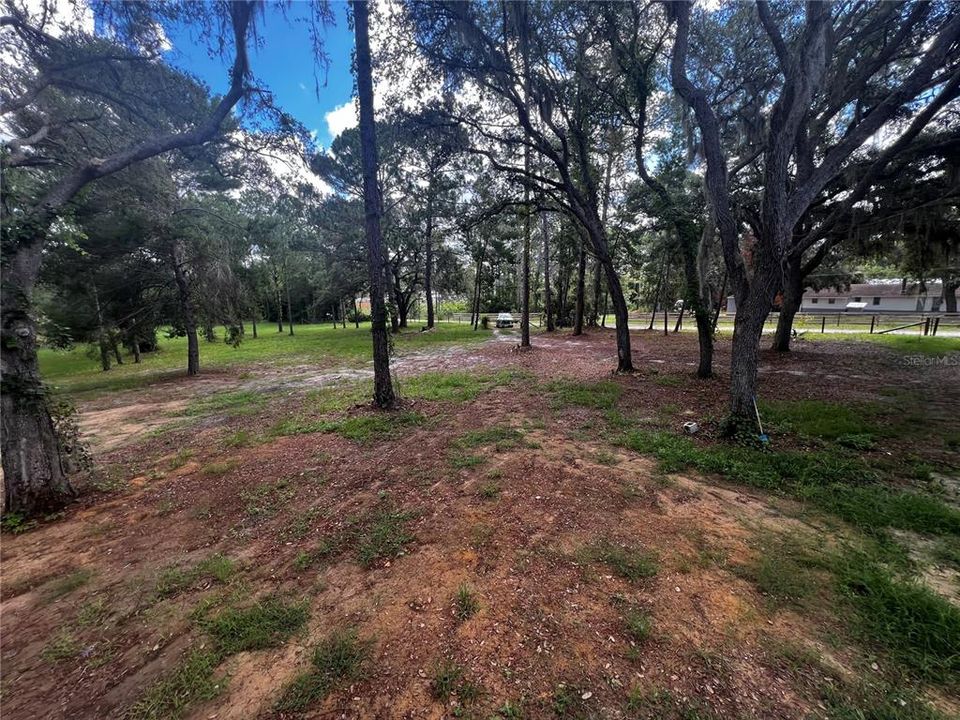 View from the front porch facing the street