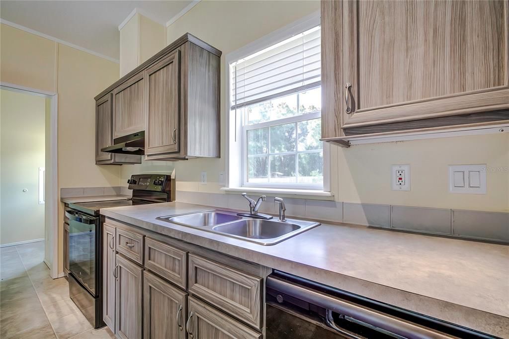 Kitchen counter, cabinets & sink