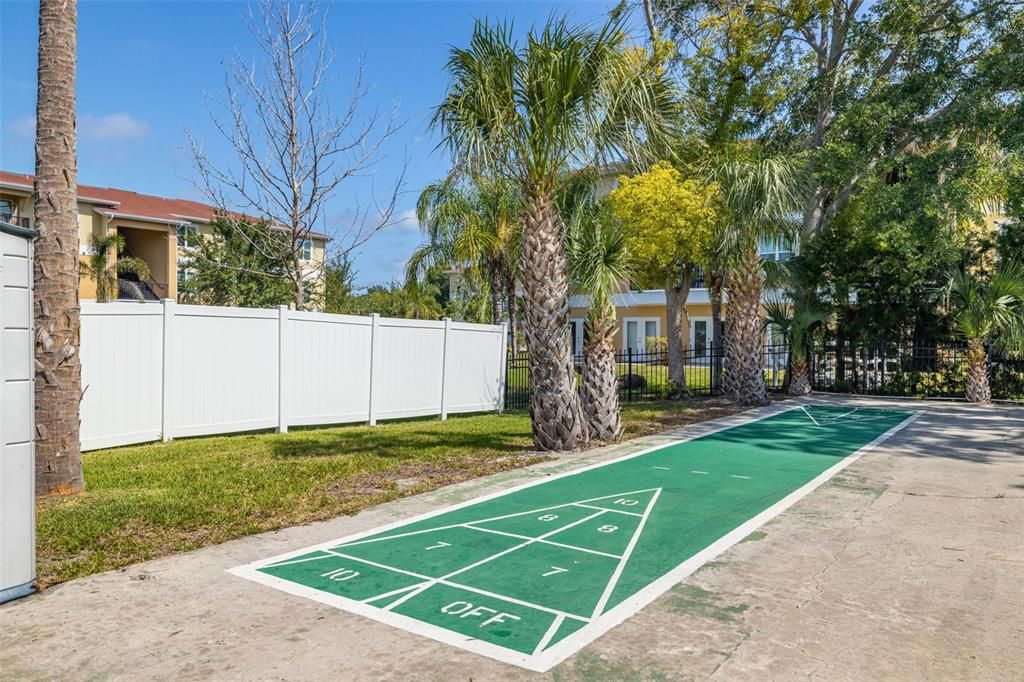 Shuffle board court