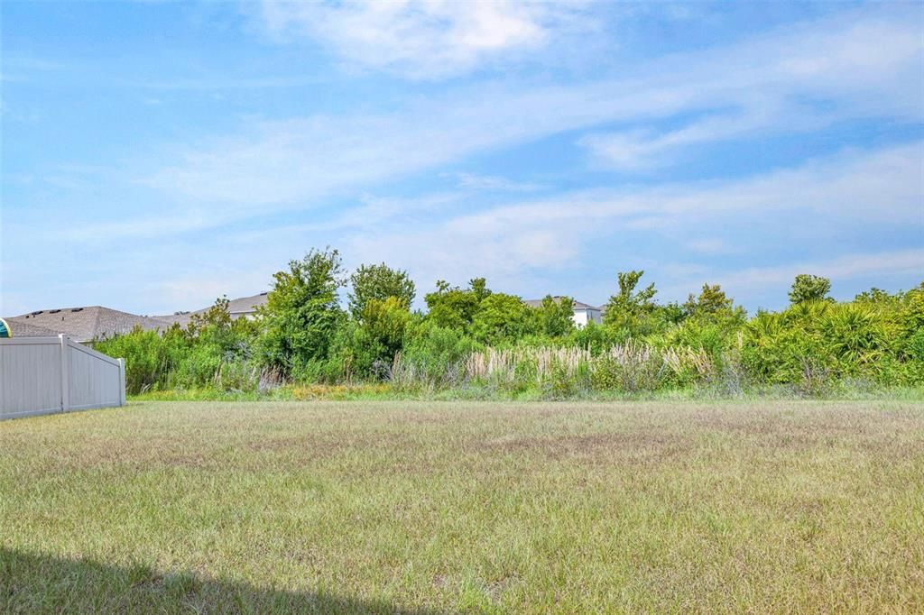 Conservation area behind house