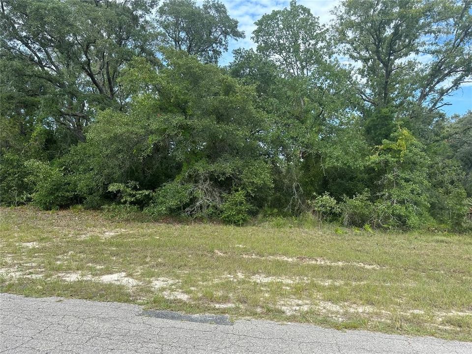 Active With Contract: $45,000 (0.35 acres)