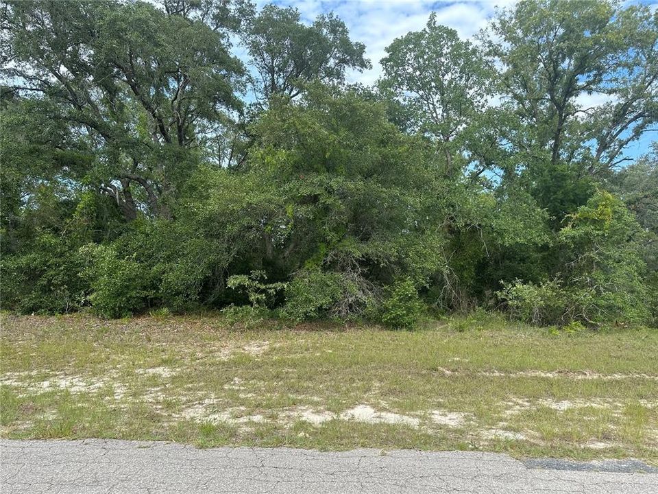 Active With Contract: $45,000 (0.35 acres)