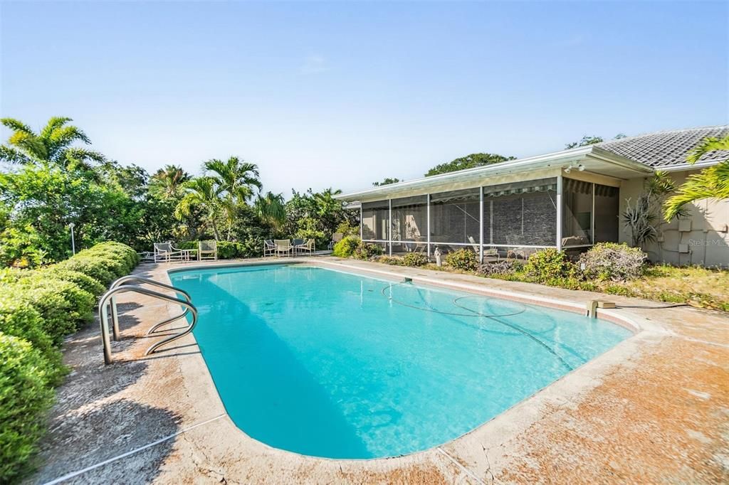 Pool area - backyard