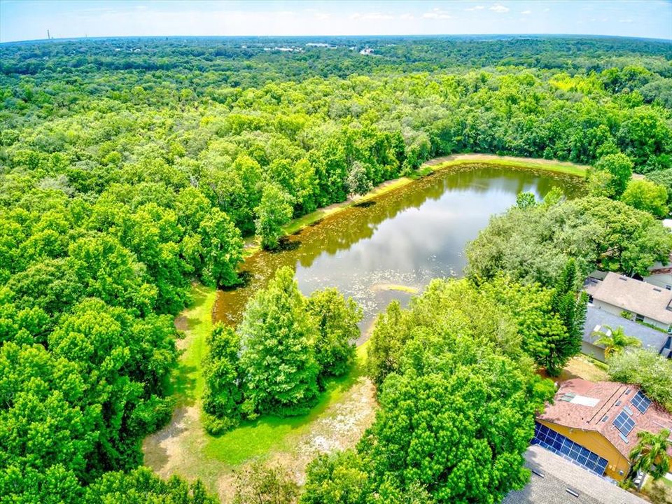 This pond is just behind the house and around the corner