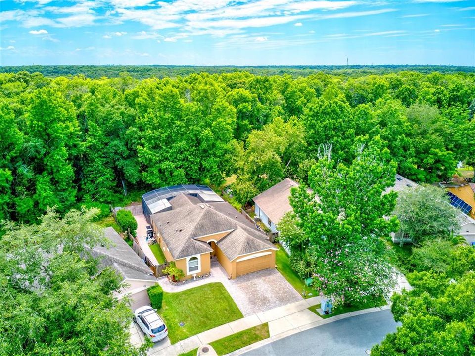 Greenery and privacy - what more do you need?