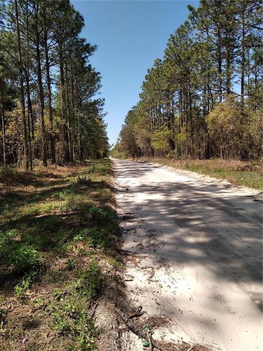For Sale: $54,900 (1.16 acres)