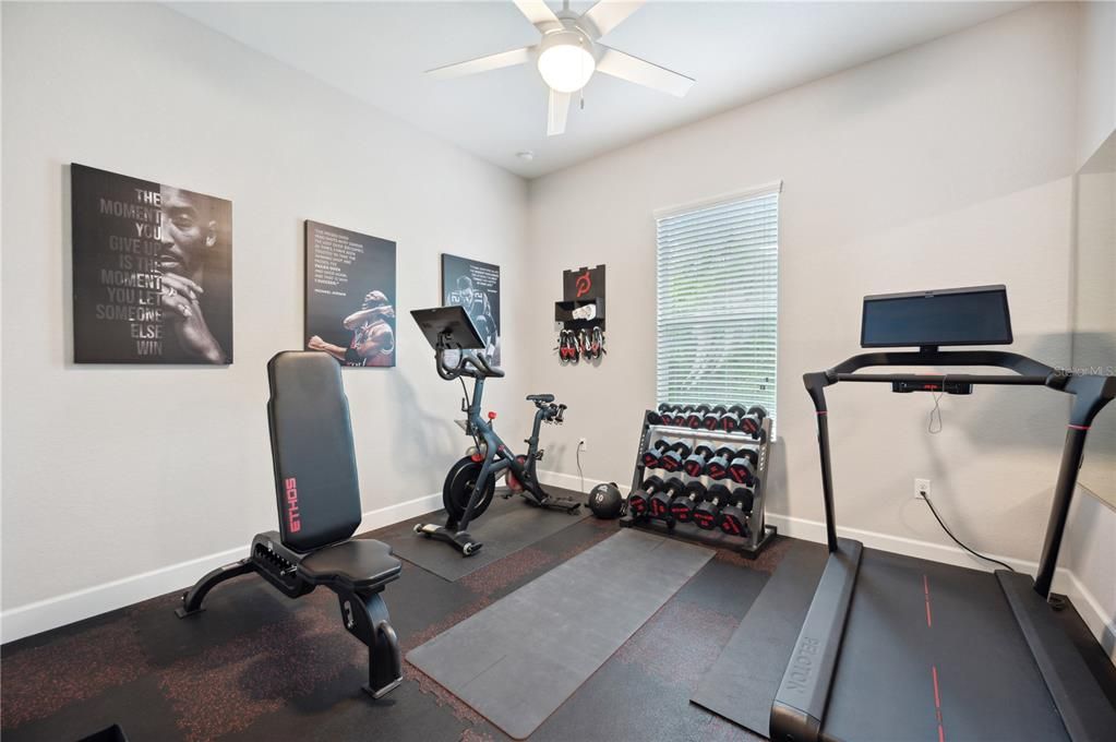 Guest Bedroom #5/Home Gym